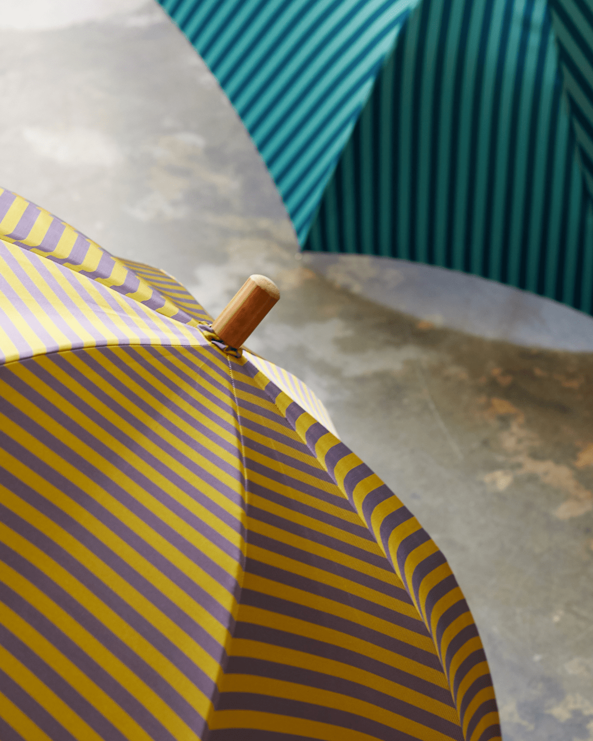 Tampus – Francesco Maglia Milano