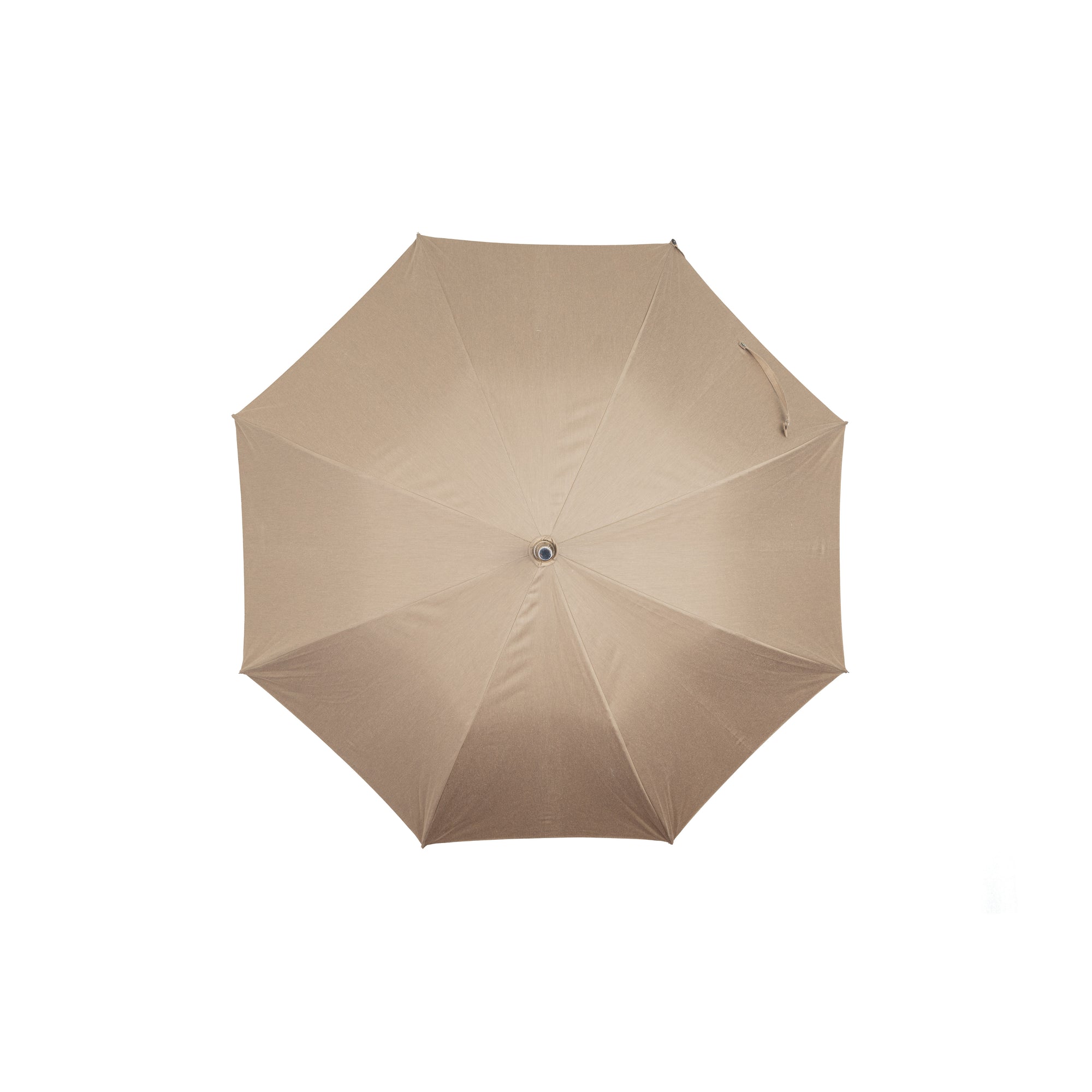 Wild Chestnut Umbrella