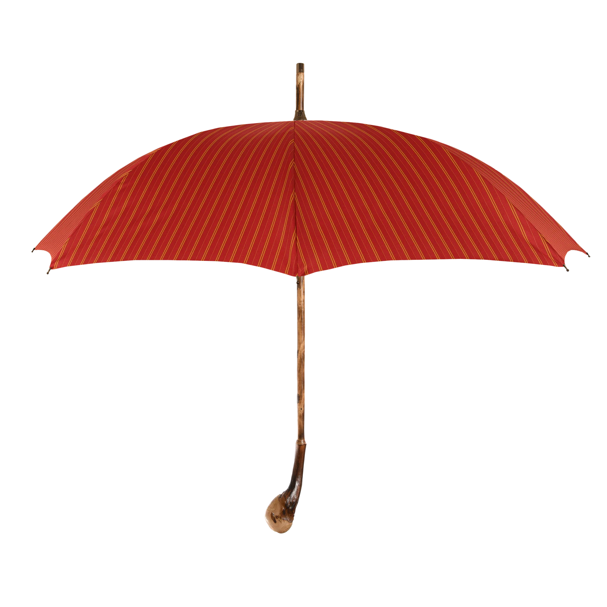 Custom Francesco Maglia Umbrella