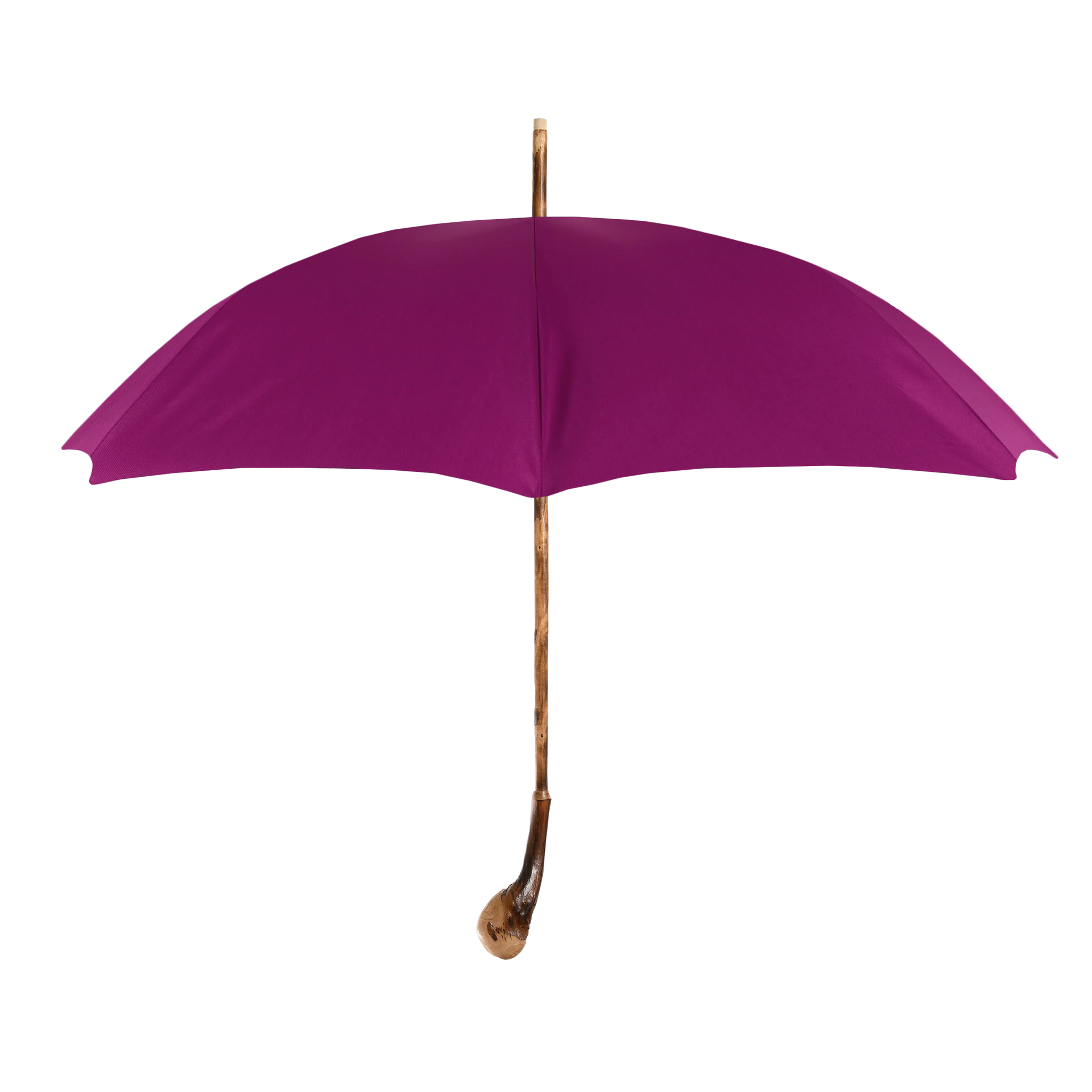 Custom Francesco Maglia Umbrella