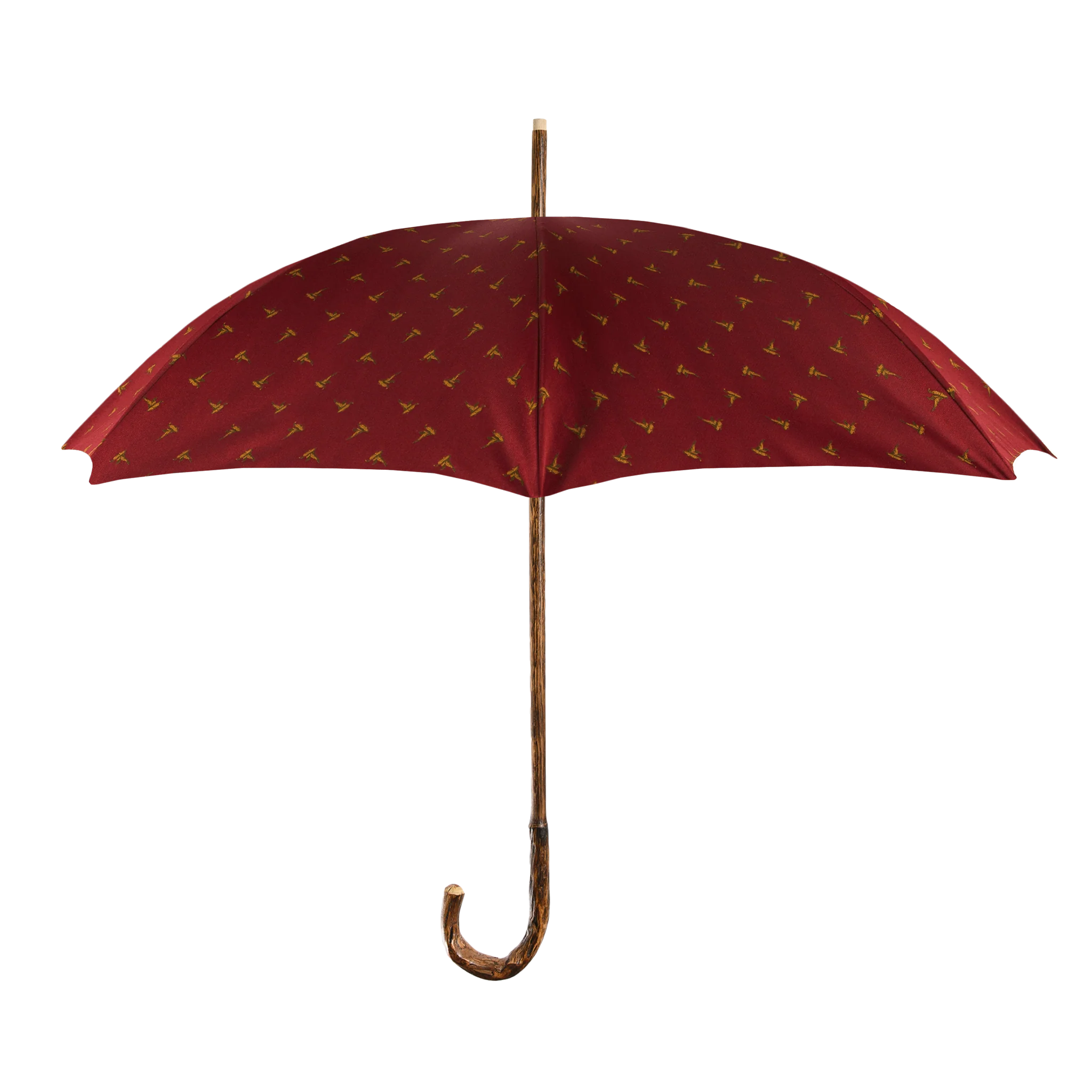 Custom Francesco Maglia Umbrella