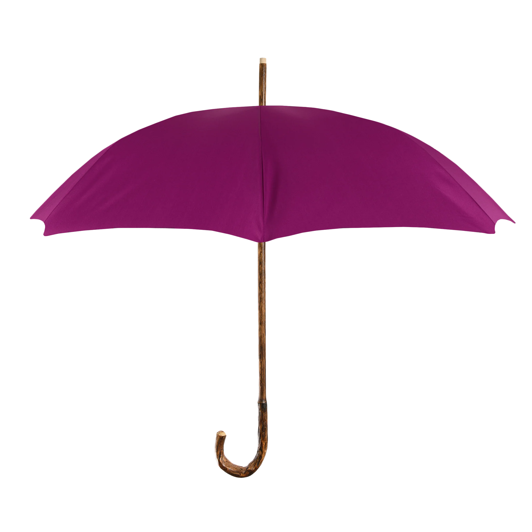 Custom Francesco Maglia Umbrella